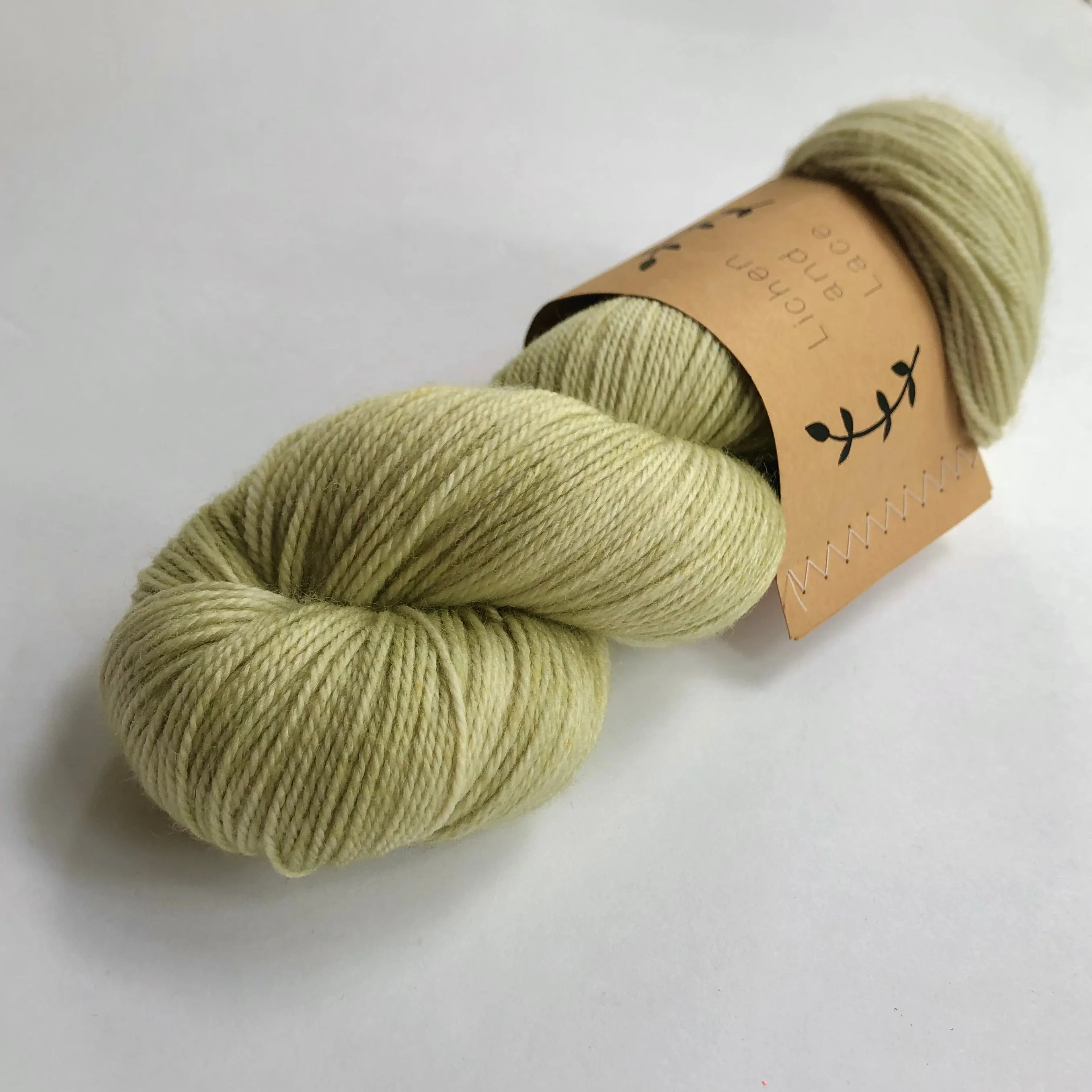 Lichen & Lace 80/20 Sock