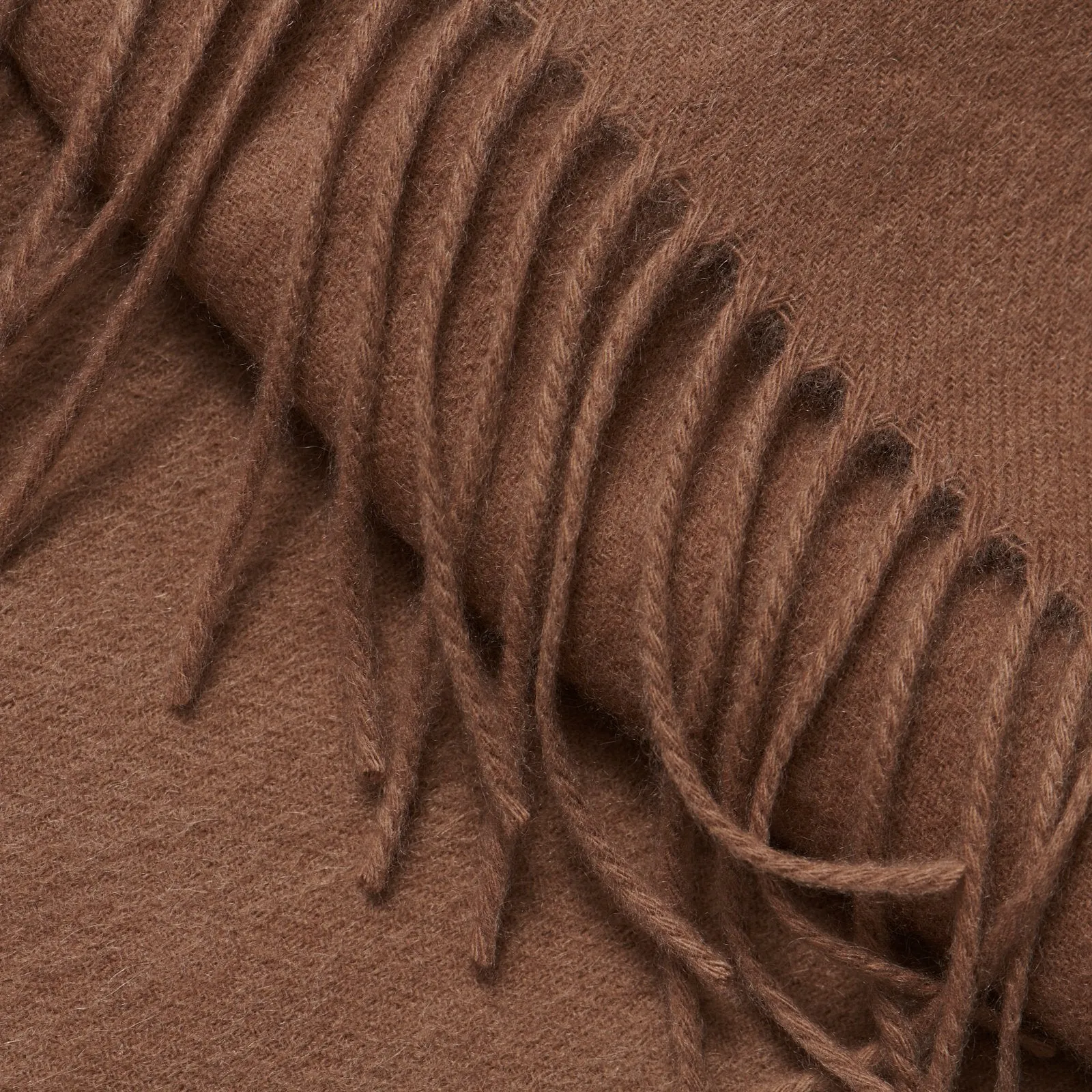 Signature Cashmere Solid Scarf